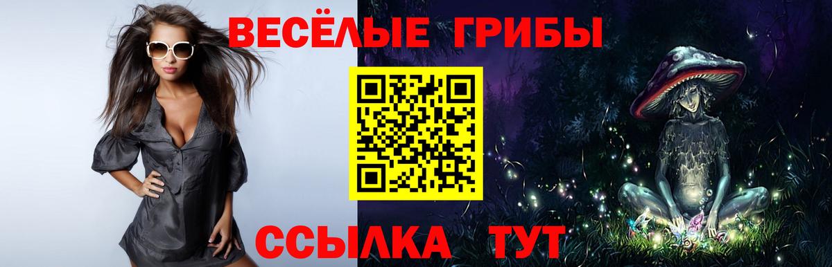 Приморско-Ахтарск  наркотики  Вход с VPN  Псилоцибиновые грибы Magic Shrooms 
